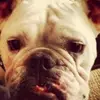 mikehemphill855 - @mikehemphill855 - TikTok