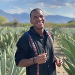 Michael Henry - @mike_henry_says - Instagram