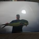 Mike Henness - @mikehenness - Instagram