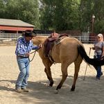 mikehenriehorsemanship - @mikehenriehorsemanship - Instagram