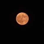 Mike Hepp - @hepp_cat - Instagram
