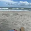 Mike79 - @mike_herd - TikTok