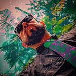 Mike Herrera - @stillhella916 - Instagram
