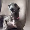 Mike Herrmann - @mike.herrmann.2000 - TikTok