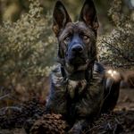 Mike Hilton - @mike_hilton_451 - Instagram
