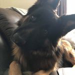 Mike Hilton - @mike.hilton.98 - Instagram