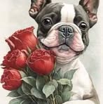 Mike Hofmann - Facebook