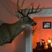 Michael Honaker - Facebook