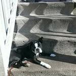 Mike Hooks - @hooksmike - Instagram