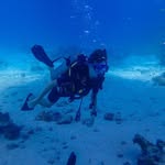 Mike Zevenhoven - @mikezevenhoven - Instagram