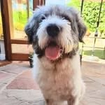 Mike Howes - @mikehowes75 - Instagram