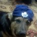 Mike Howie - Facebook
