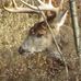 Mike Howie - Facebook