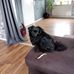 Mike Hund - Facebook