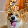 mikehundley772 - @mikehundley772 - TikTok