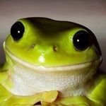 Mike - @mike_hyman_51 - Instagram