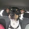 mikeivy901 - @mikeivy901 - TikTok