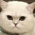 Mike jan - @18sam_jan - Instagram