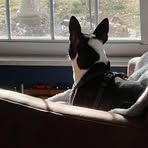 Mike Janus - Facebook