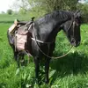 mikejanuschewski - @mikejanuschewski - TikTok