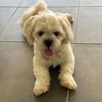 Mike Jeffries - @jeffries5631 - Instagram