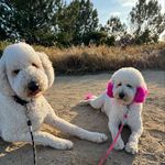 Mike Jernigan - @mcsalesguy - Instagram