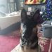 Mike Jeter - Facebook
