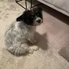 mikejeter685 - @mikejeter685 - TikTok