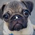 Mike Jonez - Facebook