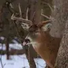 Mike Jost - @mike.jost2 - TikTok