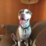 Mike Kalinowski - @mike_a_kalinowski - Instagram