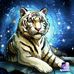 Mike Karnes - Facebook