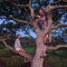 Mike Karr - Facebook