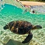 Mike Karr - @mikekarr0315 - Instagram