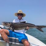 Mike Kavanaugh - @m.kavanaugh54 - Instagram