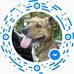 Mike Kavanaugh - Facebook
