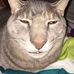 Mike Kay - Facebook