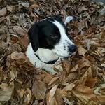 Michael Mike Kee - @mike.kee68 - Instagram