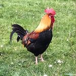 Mike Keeling - @mikekeeling43 - Instagram