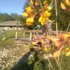 Mike Keith - @mike.keith13 - TikTok