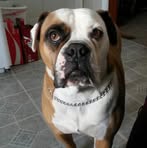 Mike Keith Porter - Facebook