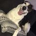 Mike Kellie - Facebook
