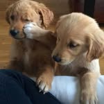 Mike Kennison - @mikekennison25 - Instagram