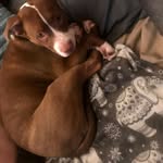 Mike Killen - @killen.mike9192 - Instagram