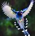 Michael Kissinger - Facebook