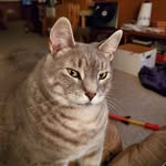Mike Kissinger - @mkissinger07 - Instagram
