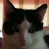 Mike Kittler - @mikekittler - TikTok