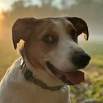 Mike Klinger - @mikeyklinger_ - Instagram