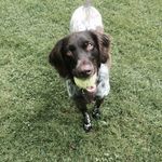 Mike Klopp - @miklopp - Instagram