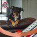 Mike Knipp - Facebook